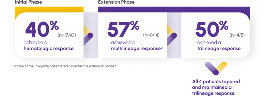 Multilineage Response with PROMACTA Monotherapy